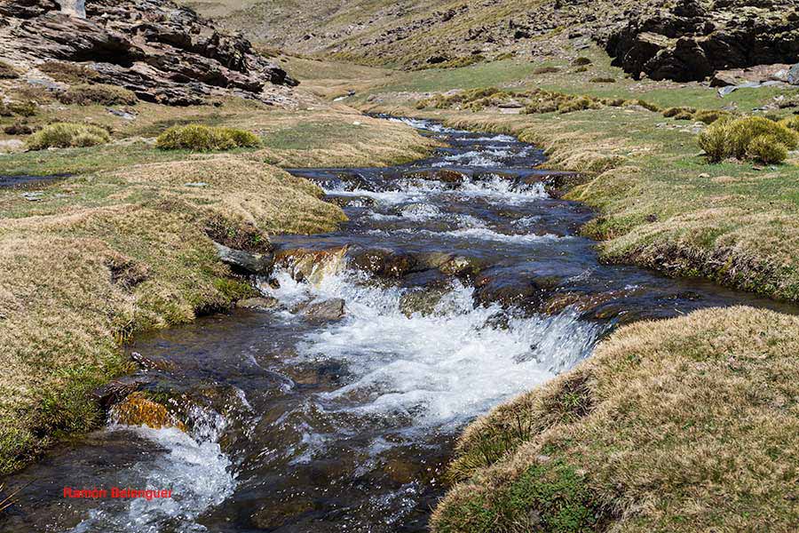BICHOS Y MAS VLC TRAVESÍA LANTEIRABÉRCHULESLANTEIRA (VUELTA)