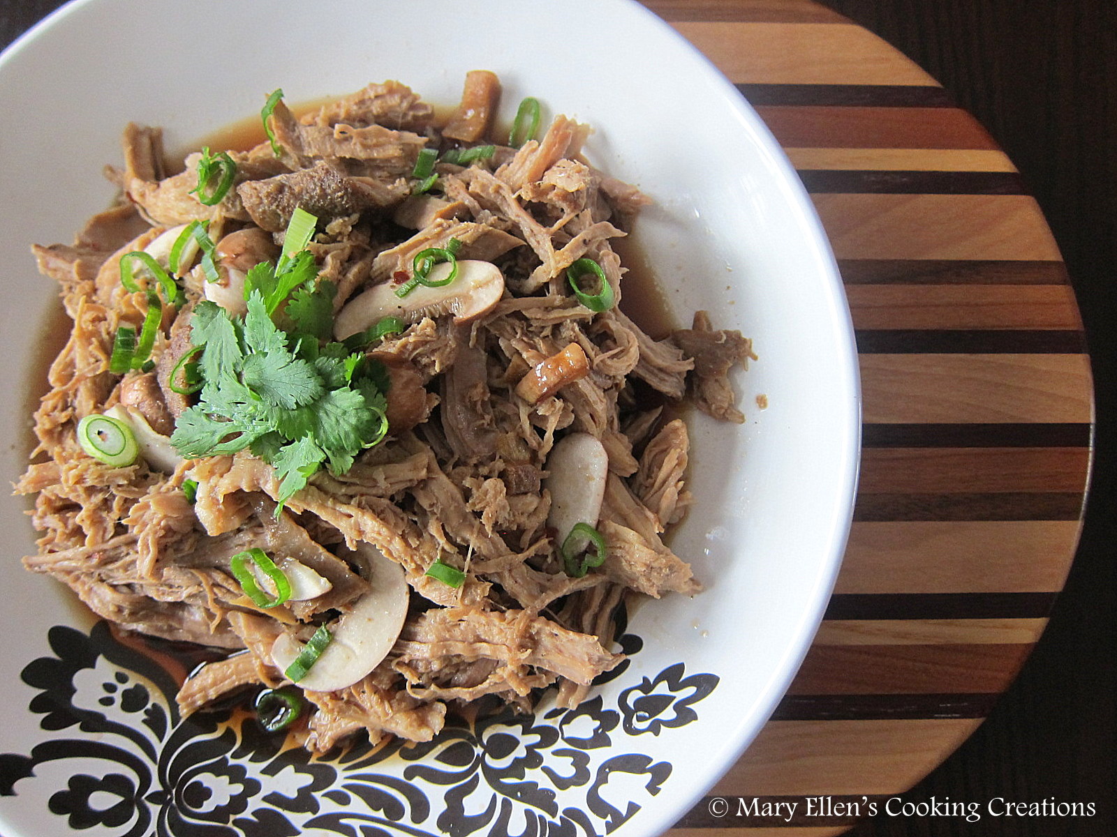 Mary Ellen's Cooking Creations Crock Pot Asian Pulled Pork