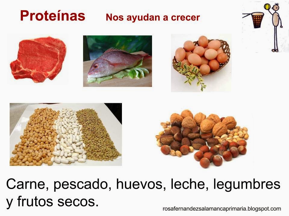 alimentos con proteinas sin grasas maestra de primaria los alimentos vitaminas hidratos de alimentos con proteinas sin grasas maestra de primaria los alimentos vitaminas hidratos de