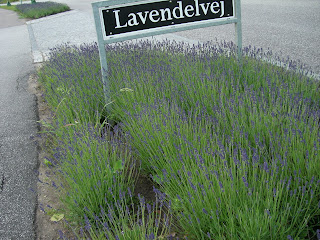 Regnig%2Bpromenad%2B%25281%2529 - 55 minuter i regn