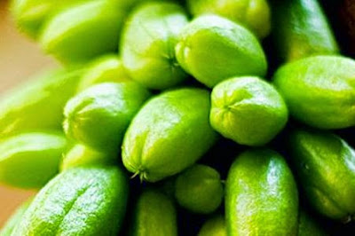 Belimbing sayur Bumbu Masakan Khas Aceh