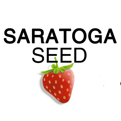 Saratoga Seed