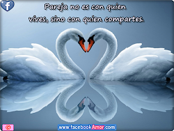 perfil bonitas amor imagenes postales buscar whatsapp imagen