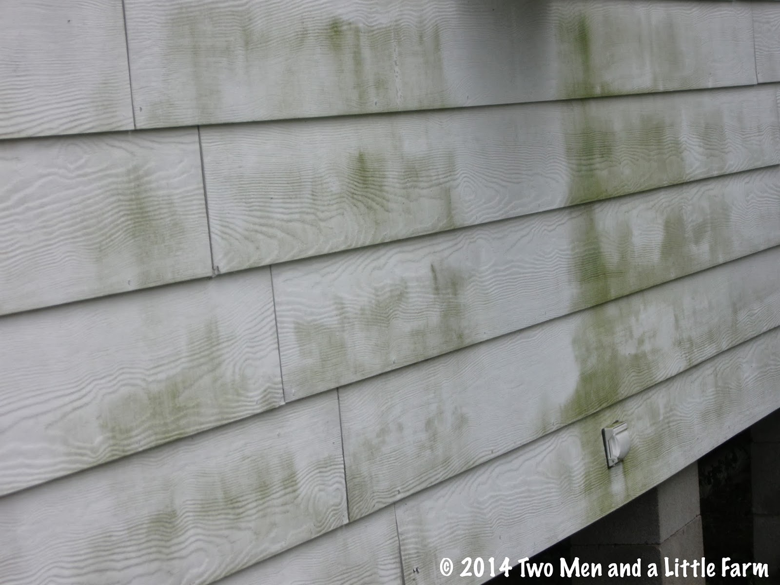 Two Men and a Little Farm OH OH, MILDEW ON SIDING