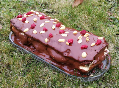 Schoko-Peanutbutter-Himbeer-Kuchen Schoko-Peanutbutter-Himbeer-Kuchen