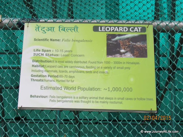 Himalayan Wildlife Zoo in Kufri, Himachal Pradesh India