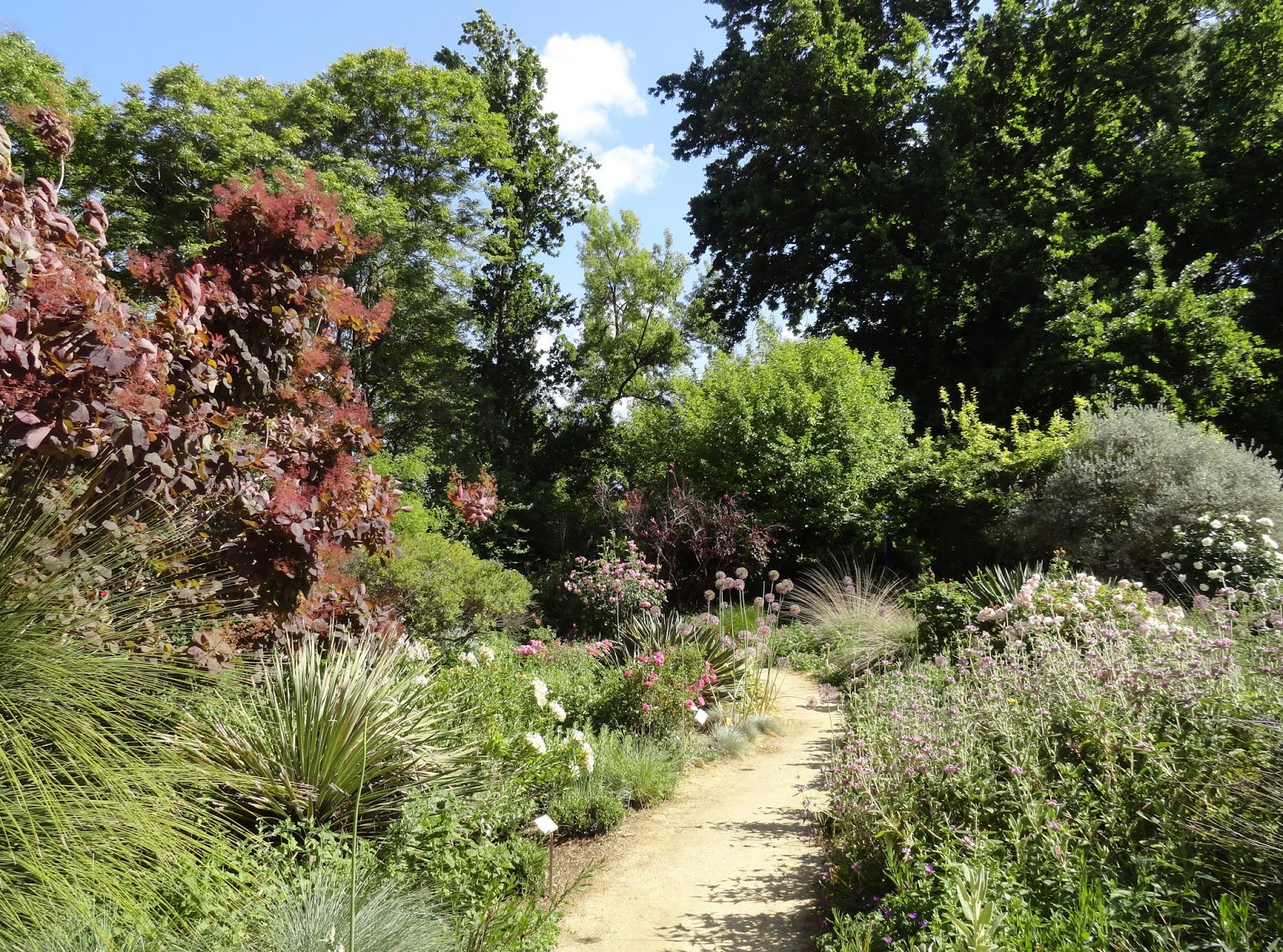 danger garden: Touring UC Davis Arboretum