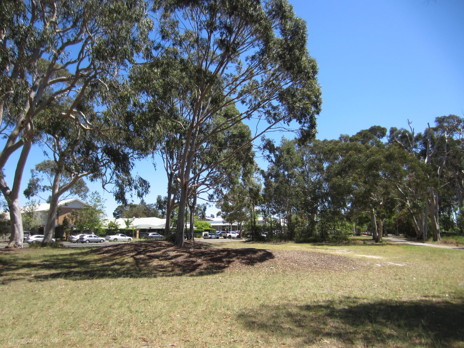 Wholesome Wattle Grove Completing Sydney