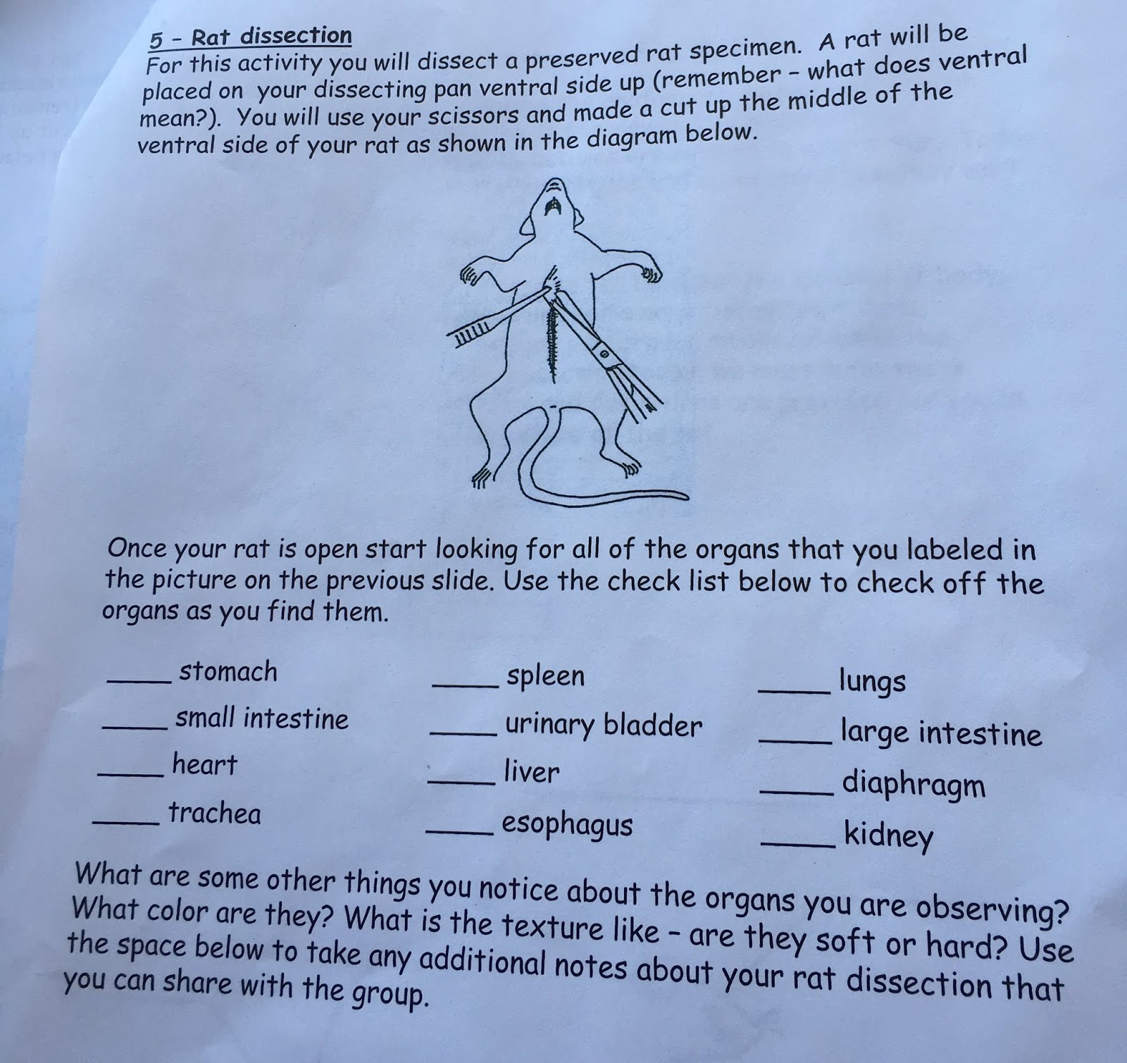 Bloomsburg University College of Science and Technology Grossology Lab