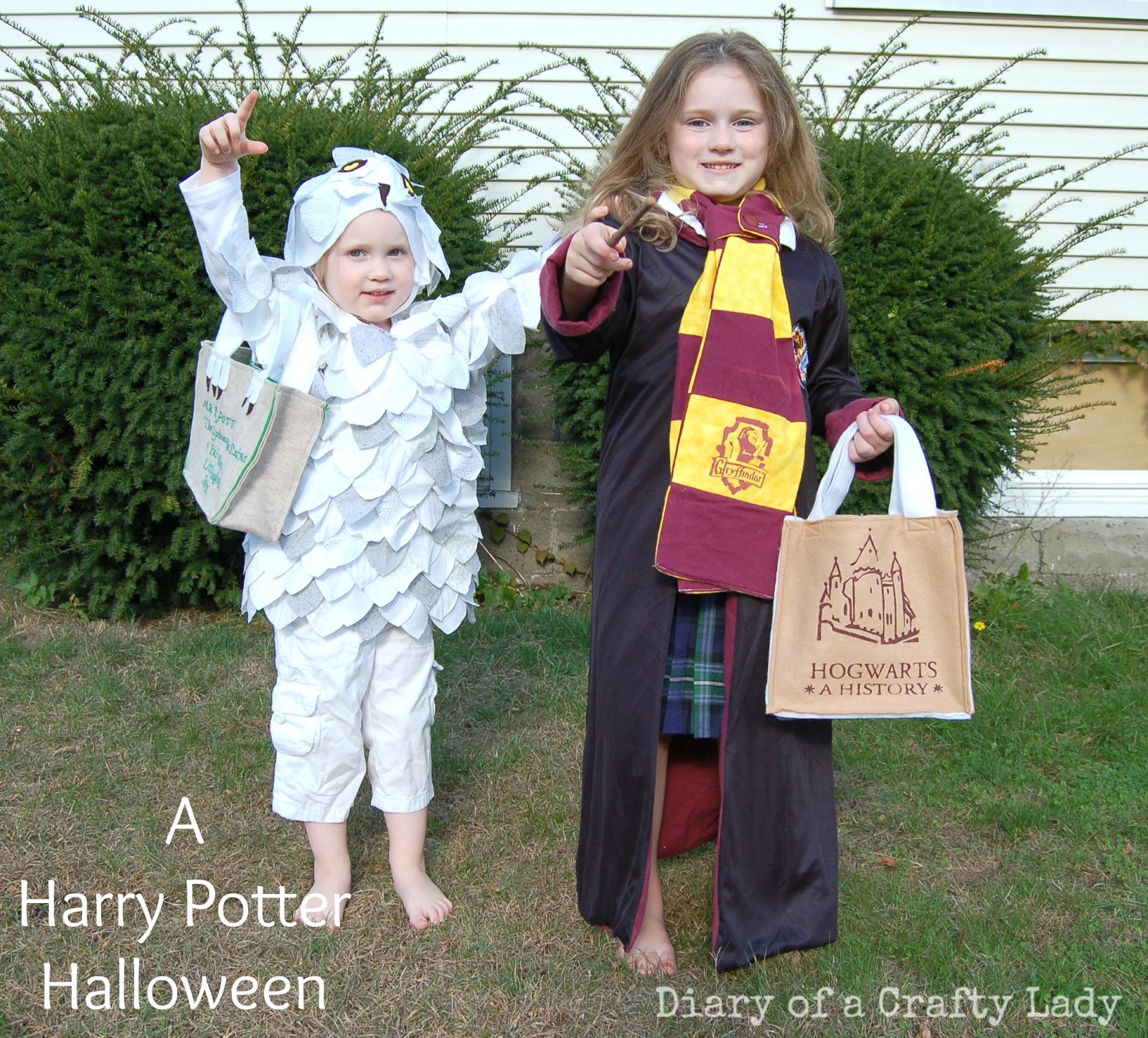 Diary of a Crafty Lady Harry Potter Halloween Costumes!