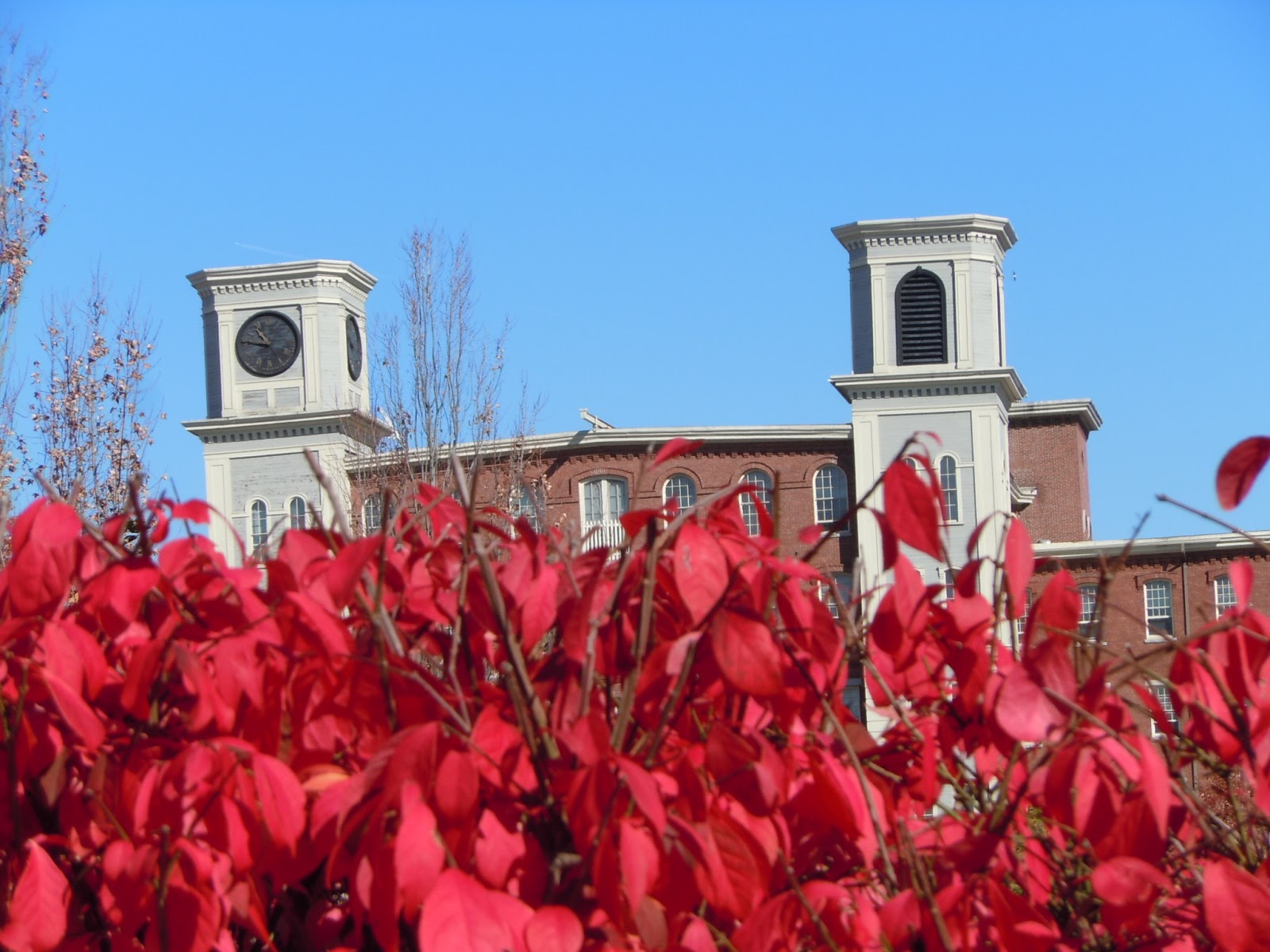 Life From The Roots Sunday Sights Lowell, Massachusetts