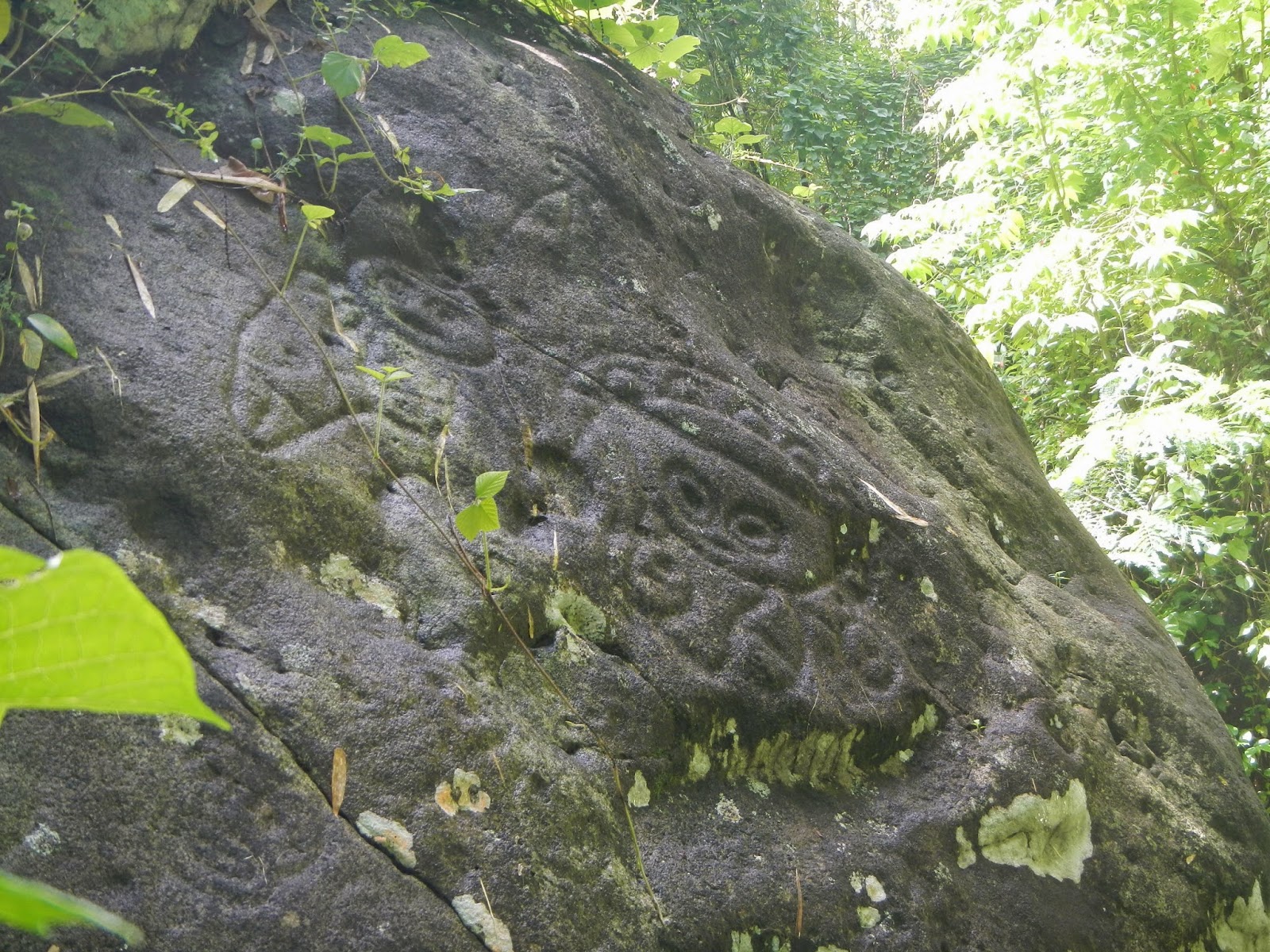 Amerindian Petroglyphs Grenada