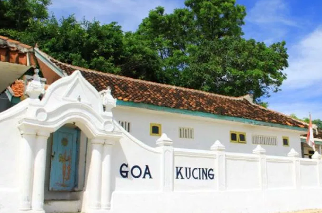 Goa Kucing Probolinggo Goa Kucing Probolinggo