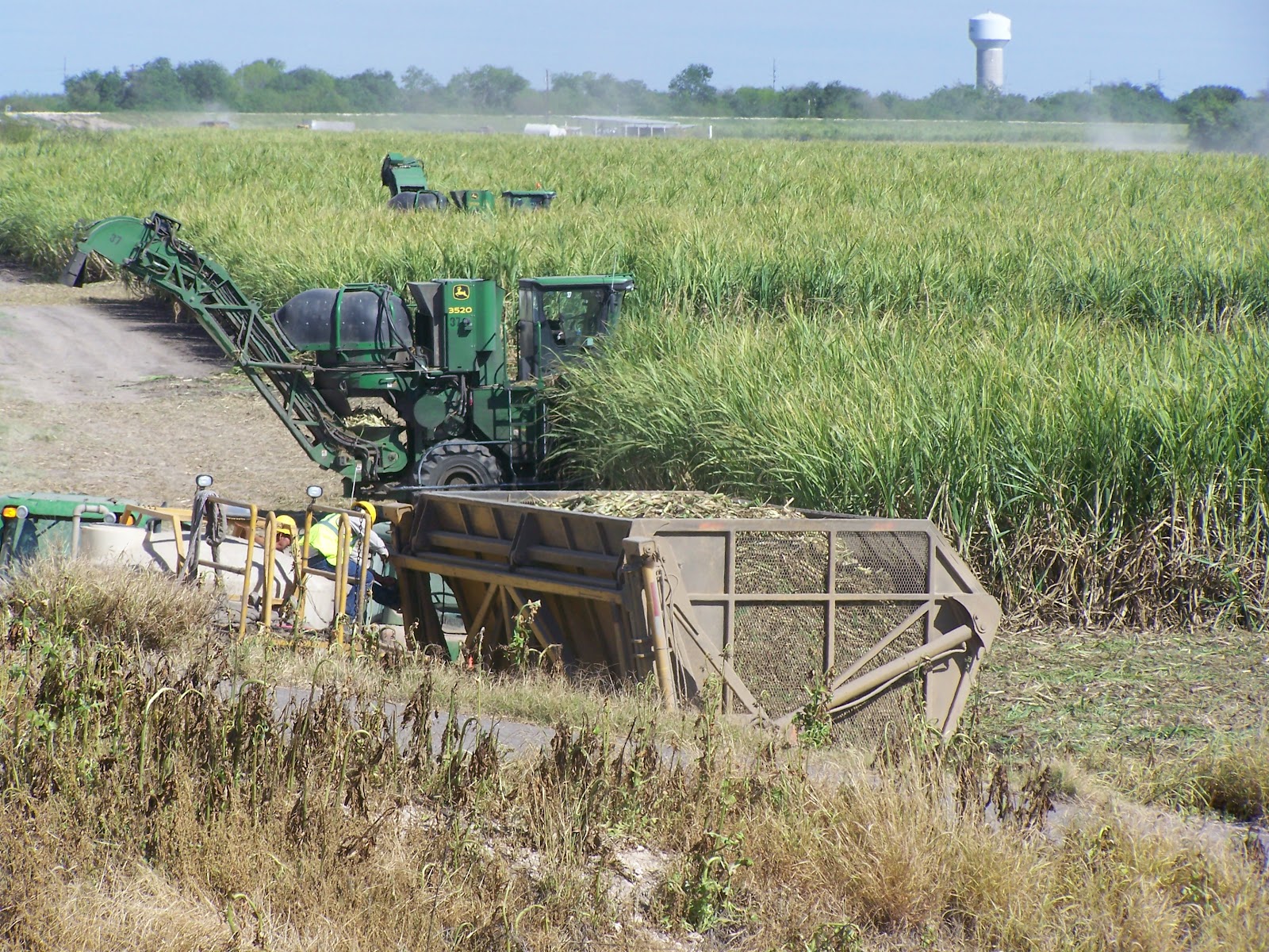 radiopotassium dating