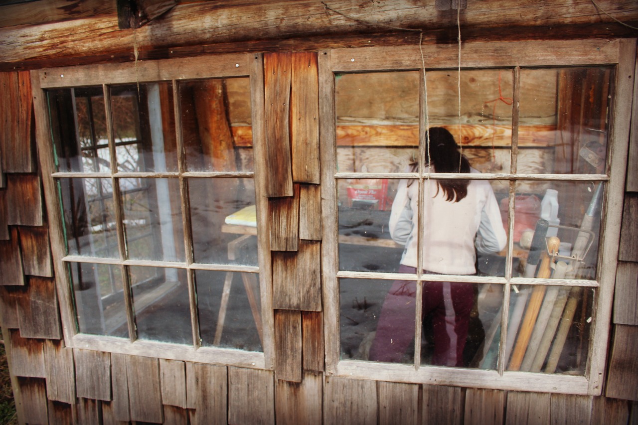 Marblemount Homestead Where did all the little collars go? Check in