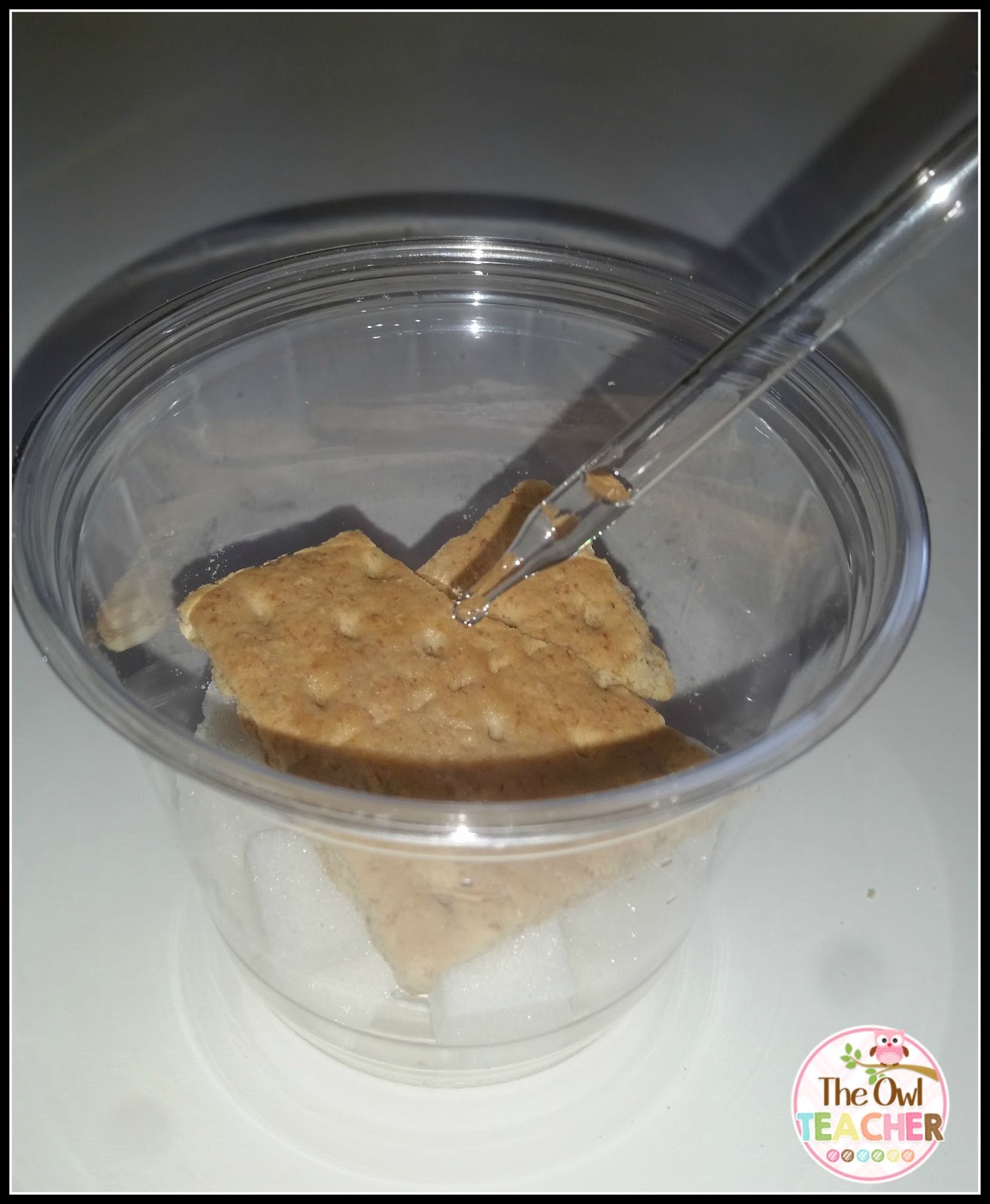 Physical and Chemical Weathering Experiments The Owl Teacher