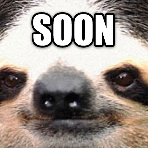 sloth-soon.jpeg