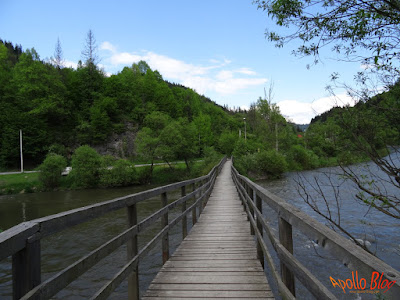 Pod de lemn la Salard