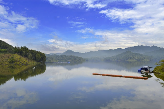kolaborasi kunci kelestarian hutan, sosial dan ekonomi masyarakat