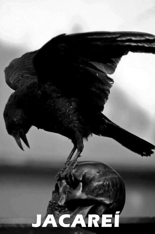 Grupo ASA :: https://- jacareiencantado - .blogspot.com.br