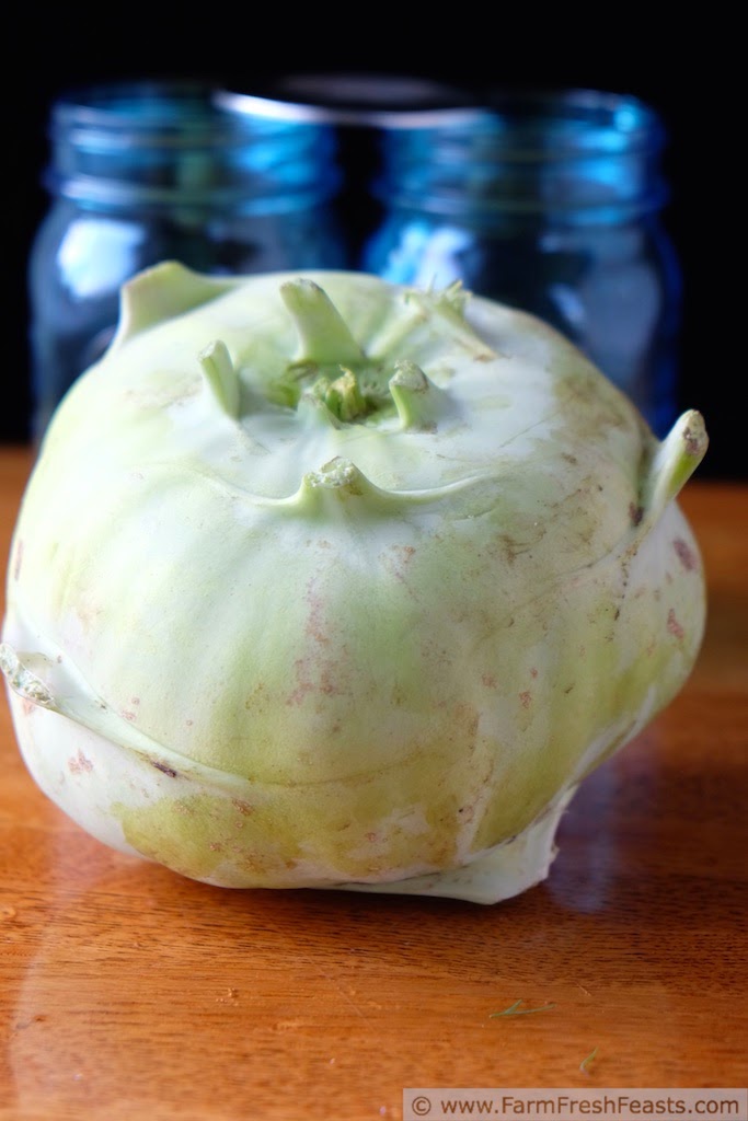 Farm Fresh Feasts Spicy Asianinspired Kohlrabi Pickle Spears