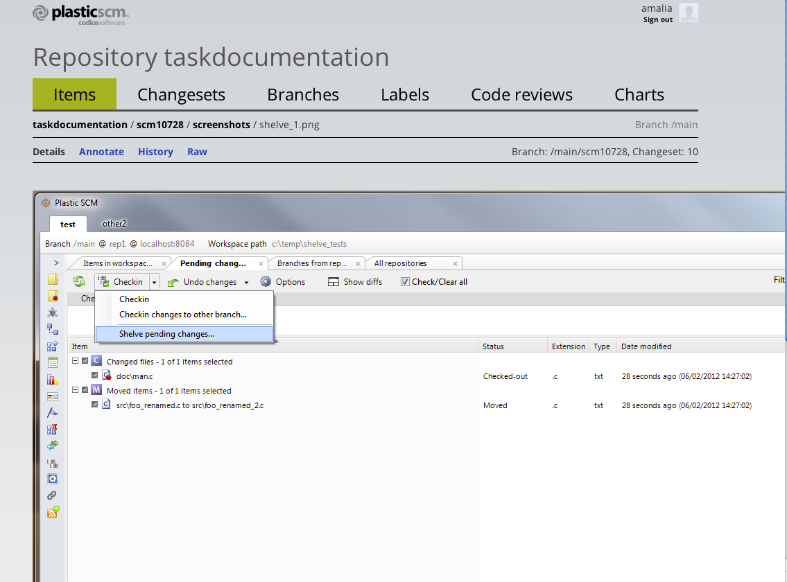 Códice Software ES Ciclo de Trabajo de Codice Software V Documentación