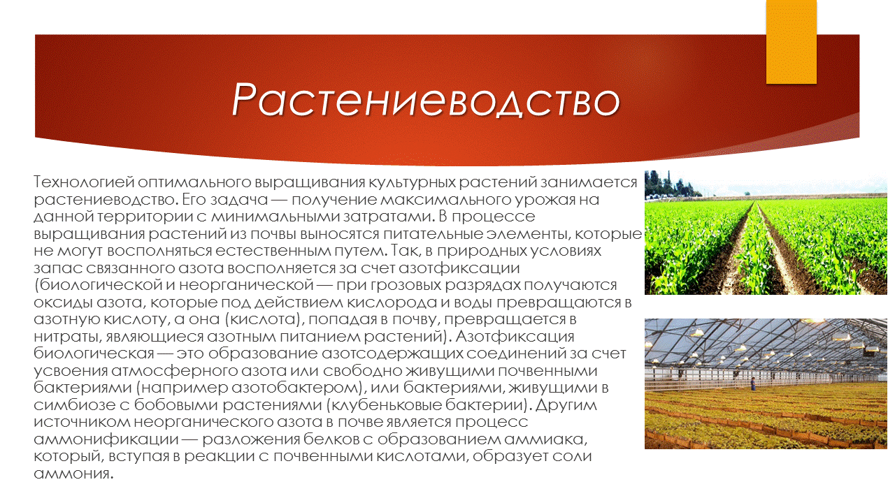 Растениеводство 3 класс. Презентация на тему растениеводство. Сообщение о растениеводстве 3 класс. Сообщение о растениеводстве 3 класс. Сообщение о растениеводстве 3 класс.