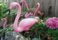 Director Craig Gillespie will direct the Flamingo Thief film.