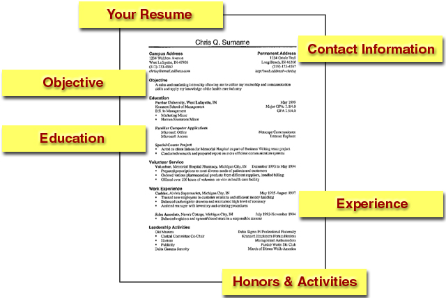 When to put education first on resume