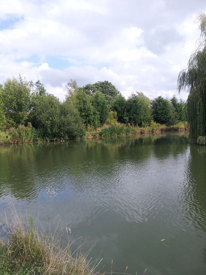UK fishing venues Pool Bridge Farm (Horseshoe Lake) Venue Review