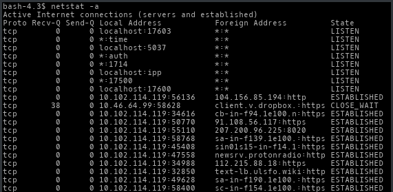 netstat output to file netstat output to file