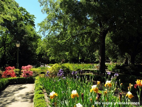 Real Jardín Botánico de Madrid