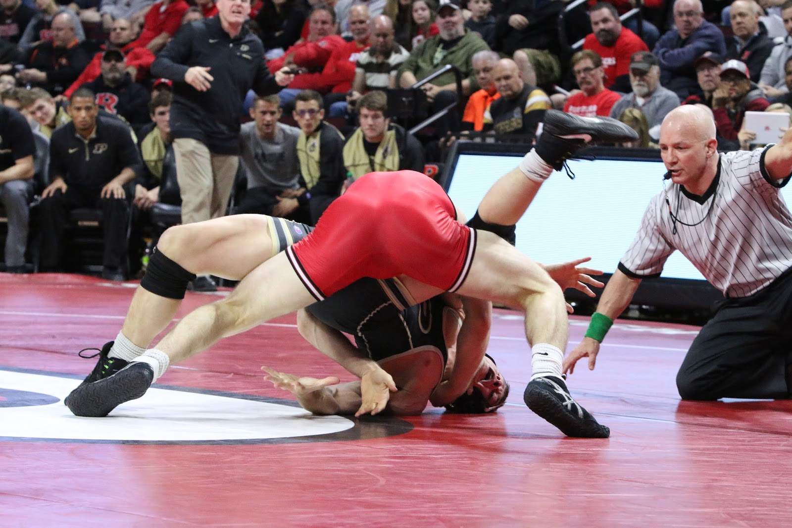 Finished by pin: Wrestling photoset 167