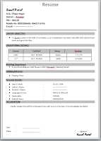 One Page Resume/CV Format | thumbnail