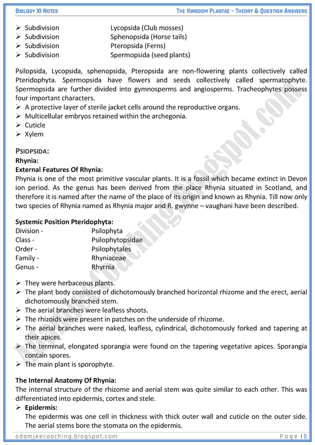 kingdom-plantae-descriptive-question-answers-biology-11th