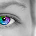 Adobe Lightroom For Beginners Complete Photo/Image Editing
