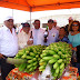 VIDEO: Se Realizará XI Festival del Plátano del Molino