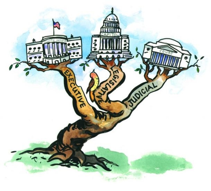 state and federal government cartoon