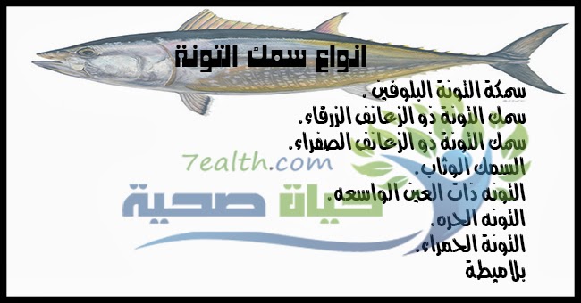 اهمية التونة لجسم الانسان والبشرة