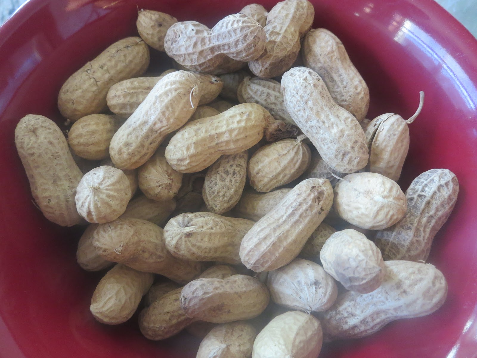 How to cook shelled peanuts in Instant Pot (Kid's friendly Cooking