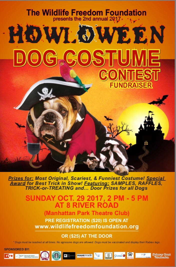 Roosevelt Islander Online You're Invited To Roosevelt Island Halloween