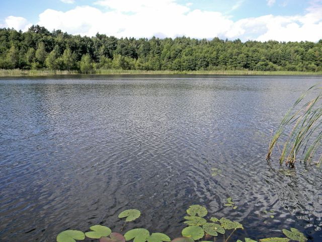 ryby tu ponoć biorą jezioro Małe Liny