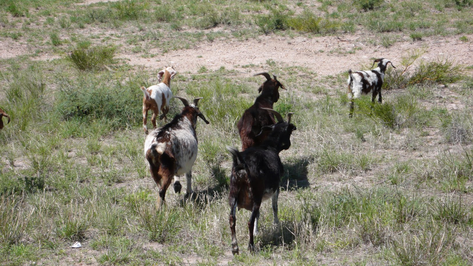 A trip to Argentina Nachtrag Las Quijadas