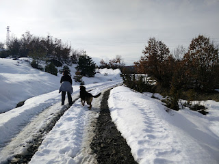 We head up the hill for a leg-stretcher We head up the hill for a leg-stretcher