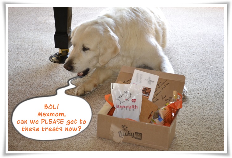 LIVING LIFE TO THE MAX LUCKY DOG'S GIFT SERVICES " AUGUST" BOX