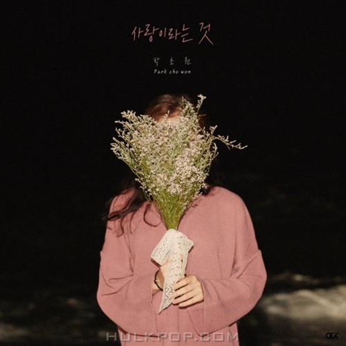 Park Cho Won – 사랑이라는 것 – Single