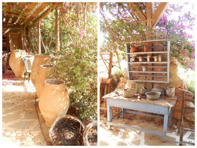 An Olive Farm at Crete