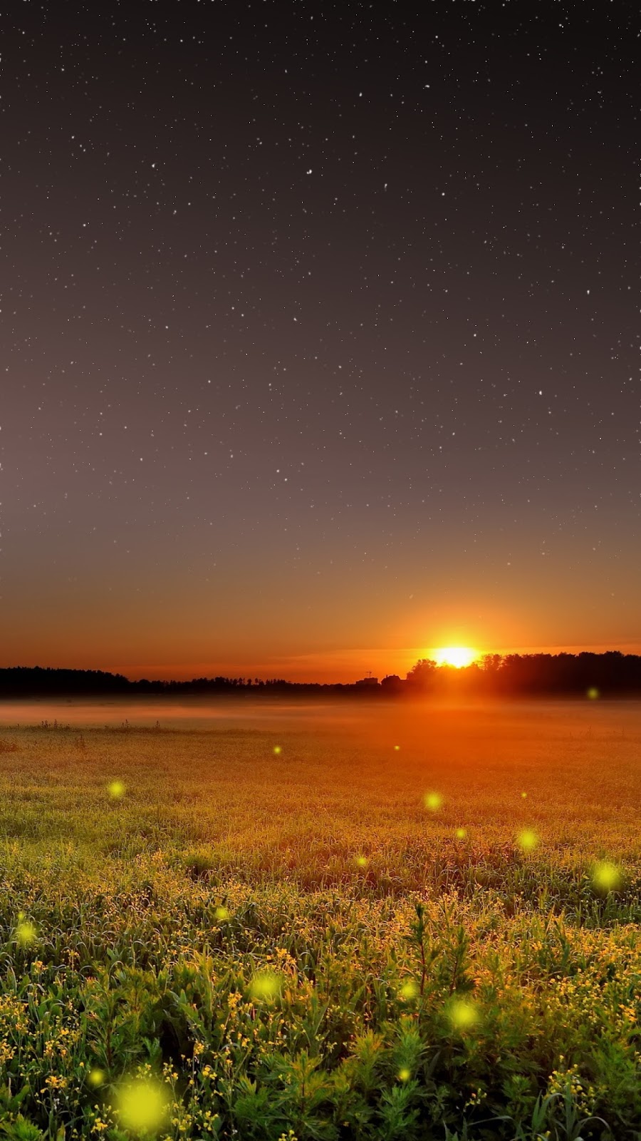 beautiful phone - DriverLayer Search Engine