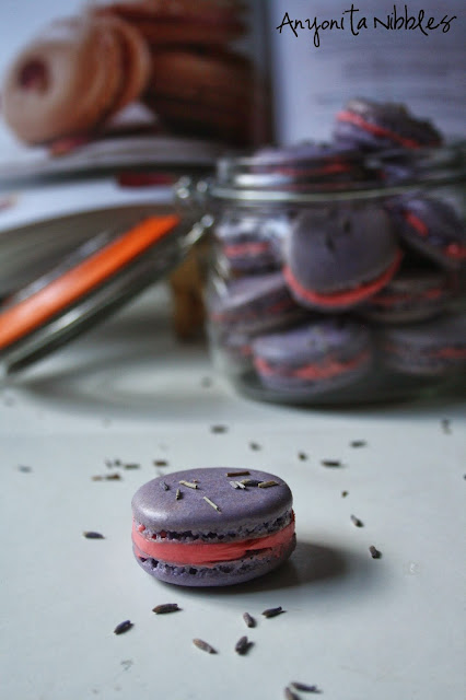 A #lavender and #rose macaron surrounded by lavender flowers from @anyonita