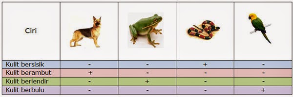  Ciri  Ciri  Hewan  Vertebrata  Dan  Invertebrate Beserta  Contohnya 